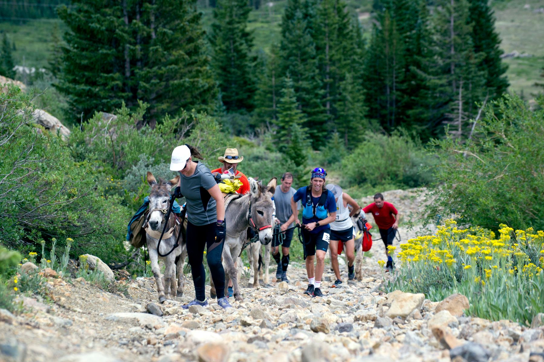 Racers make their way up Mosquito Pass during the 69th Annual Burro Days Pack Burro Race in Fairplay, Colorado on July 30, 2017.  1burro_days_20171022seqn_