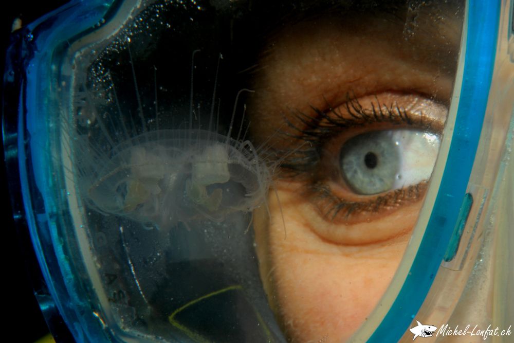 Copyright Michel Lonfat 2.jpg