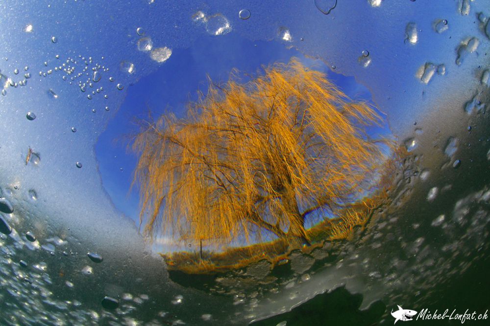 Copyright Michel Lonfat 12.jpg