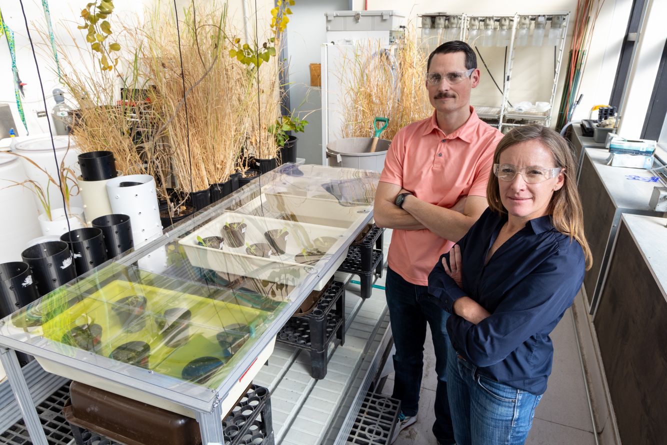 Renewable Energy Researchers in a Lab Greenhouse