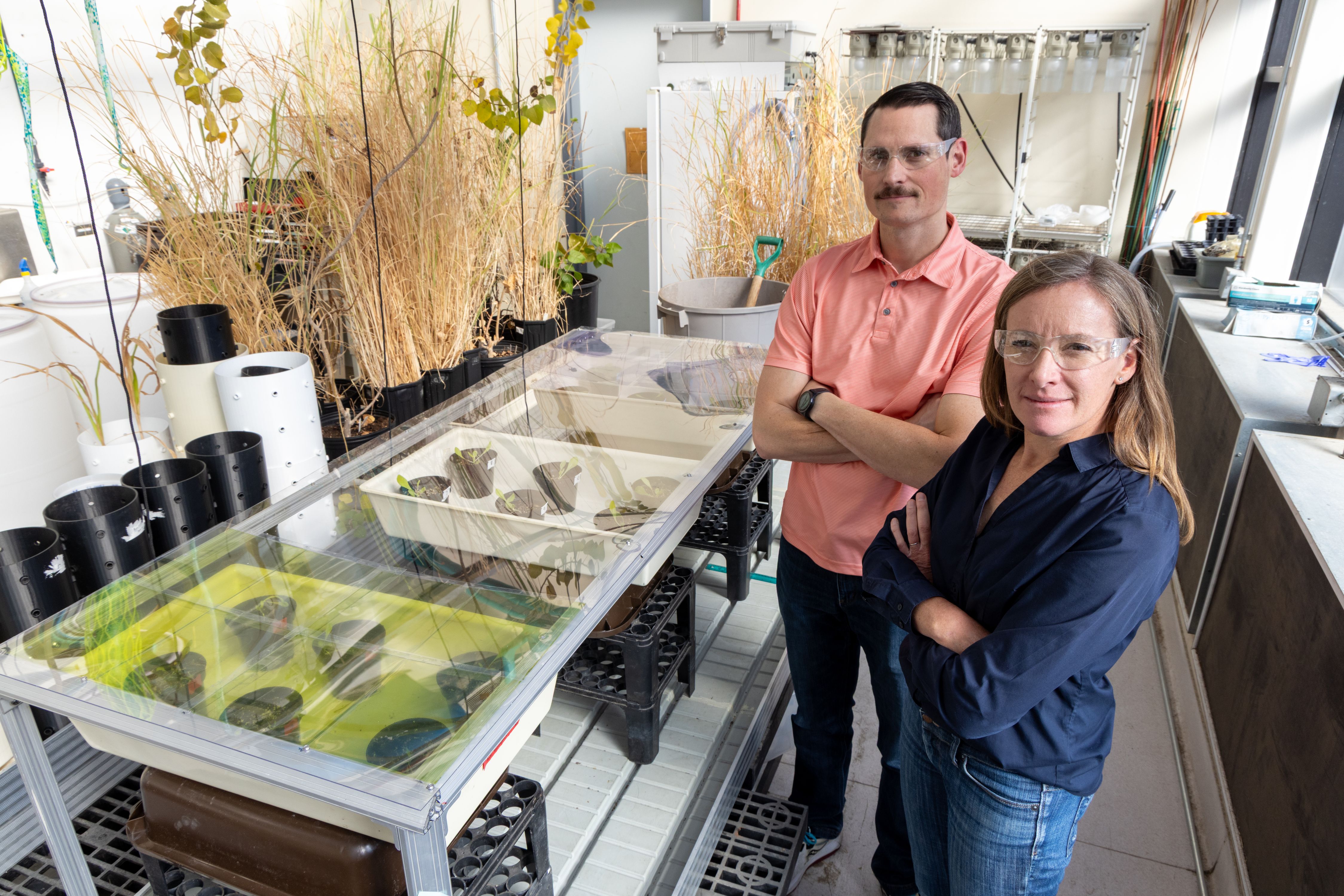 Renewable Energy Researchers in a Lab Greenhouse