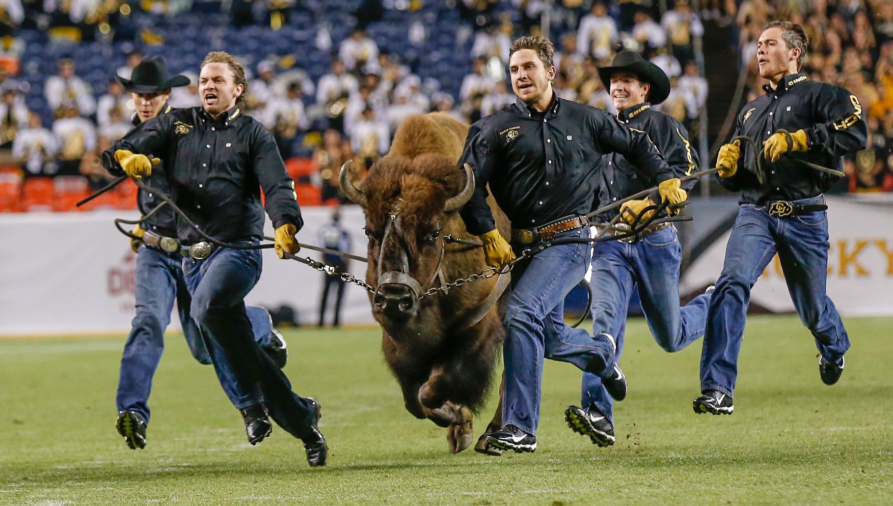 Run Ralphie, Run