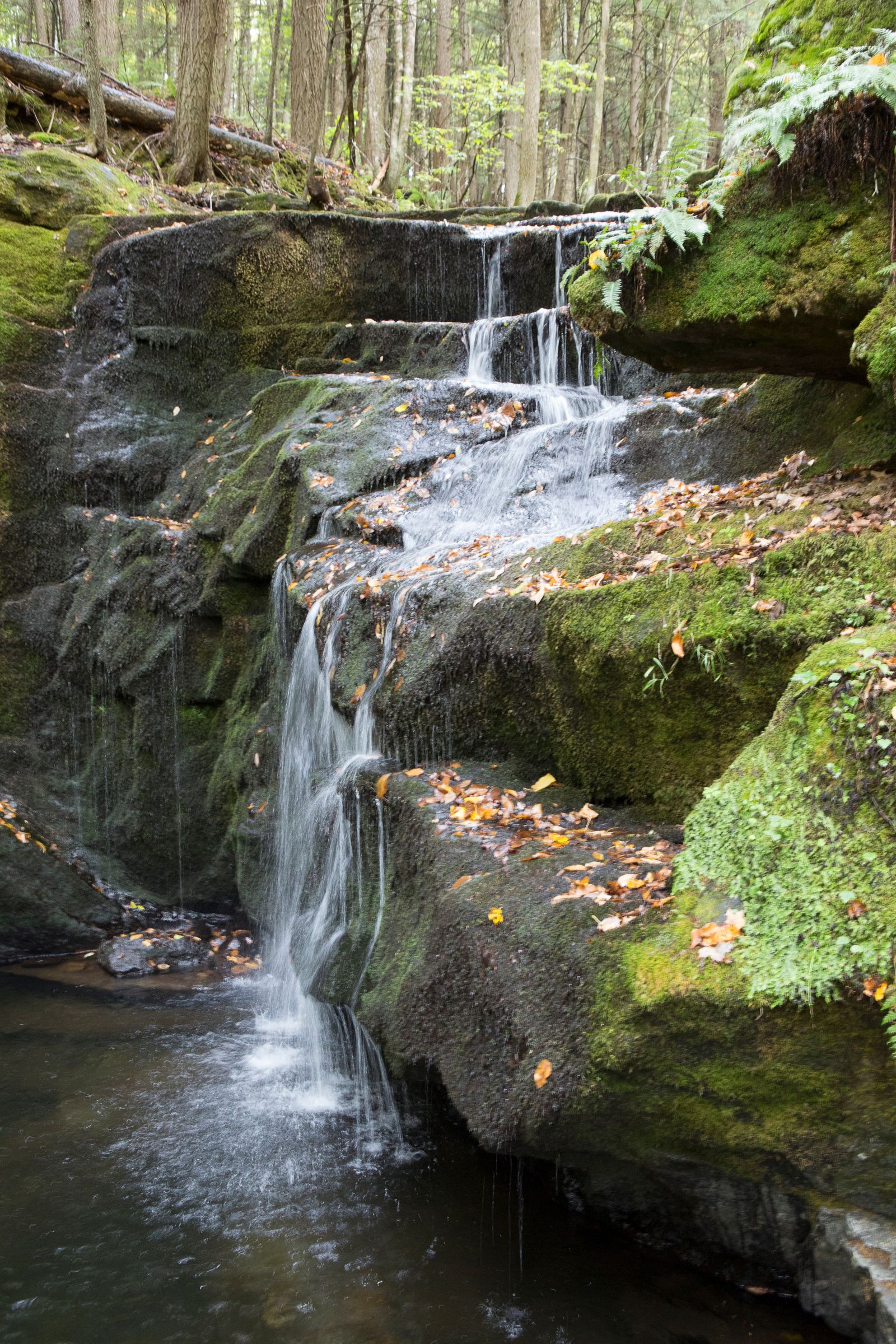 waterfall.jpg