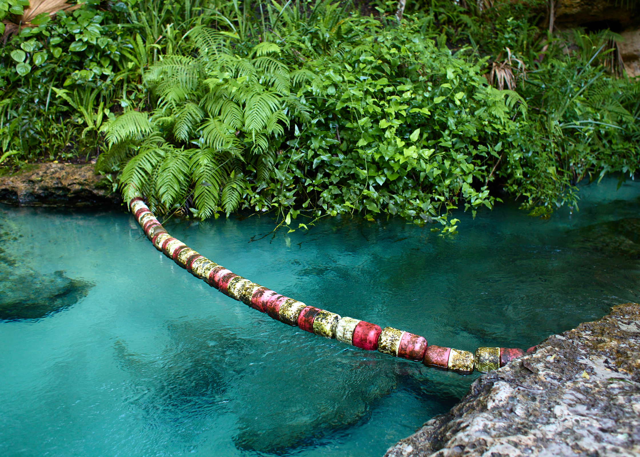 Natural Spring Saved by Barge Canal Cancellation