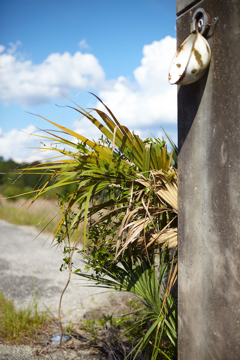 Palmetto, Eureka Dam