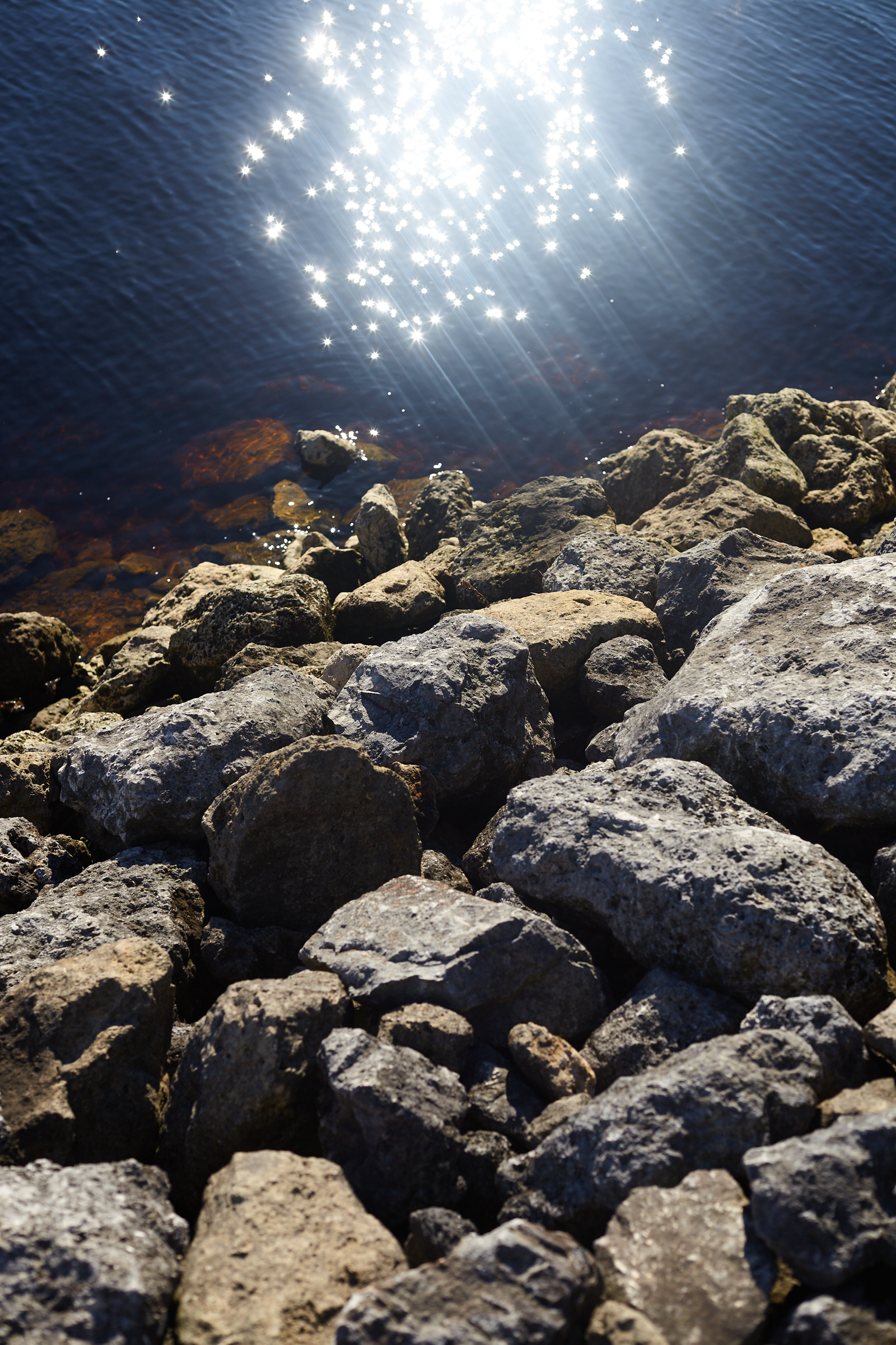 Withlacoochee River Banks