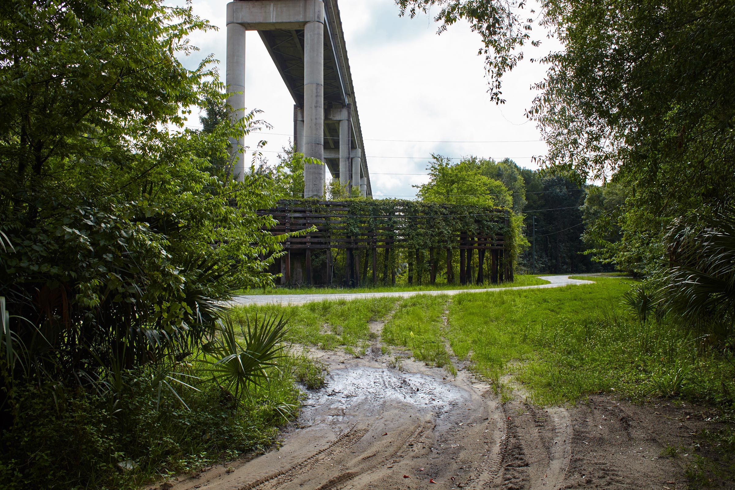Derelict Pylons Built for Canal, Eureka, Florida.