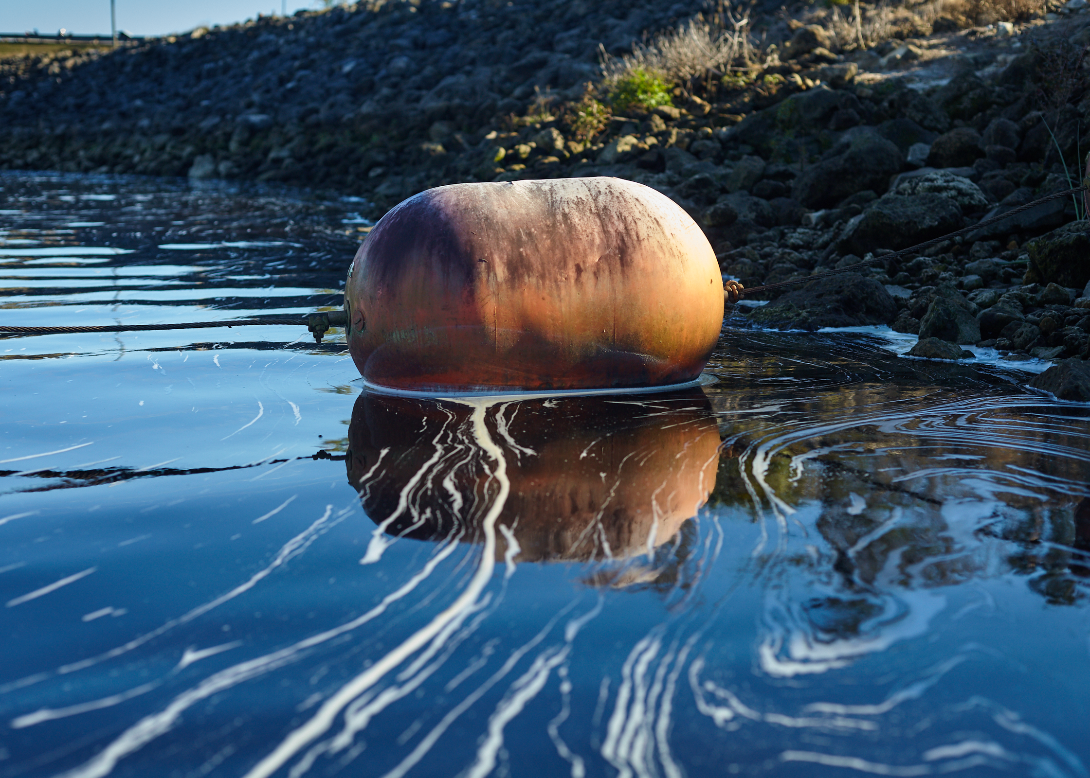 Buoy on the Withlacoochee River