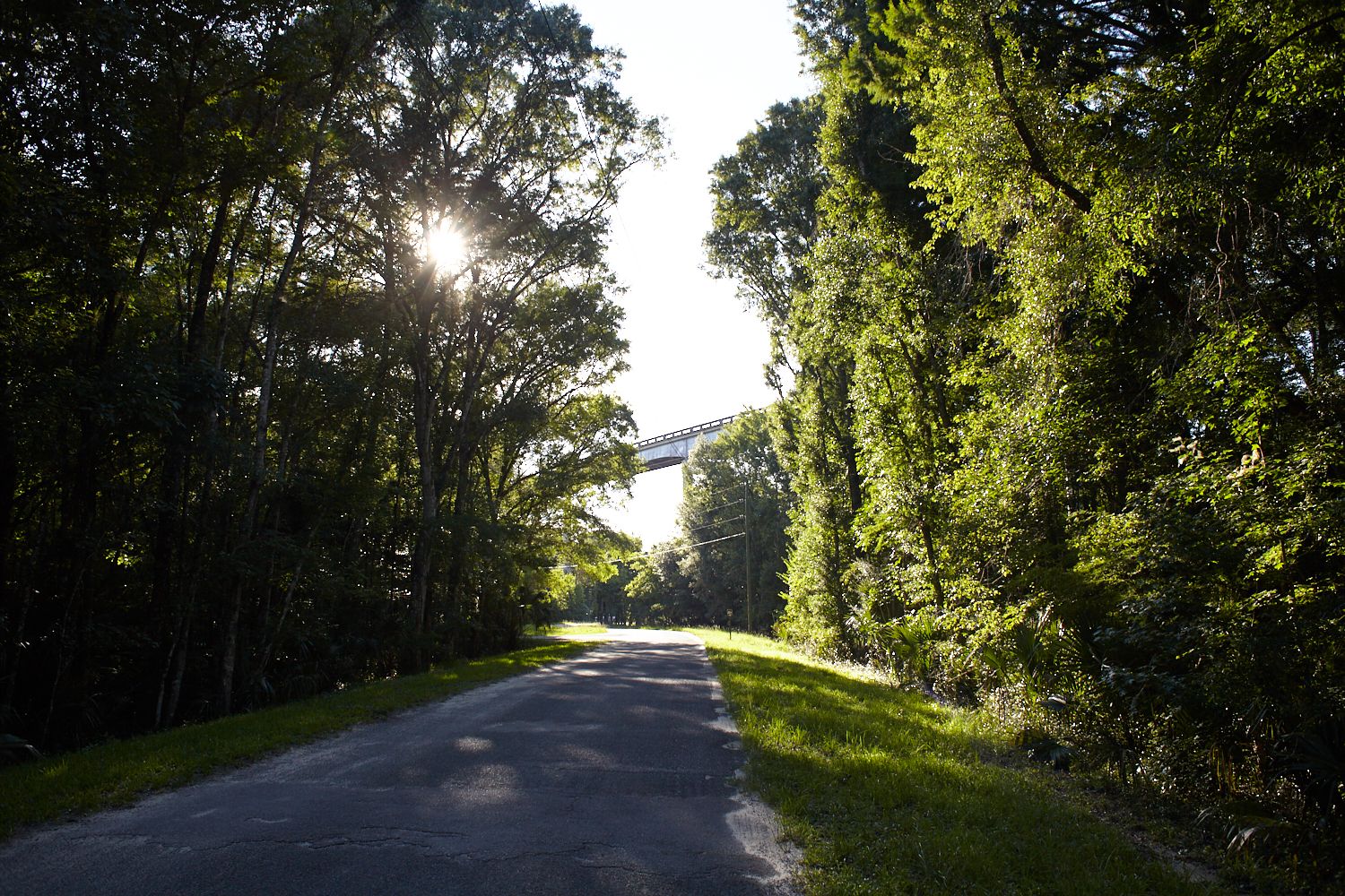 Land Saved From Flooding Along the Ocklawaha River.