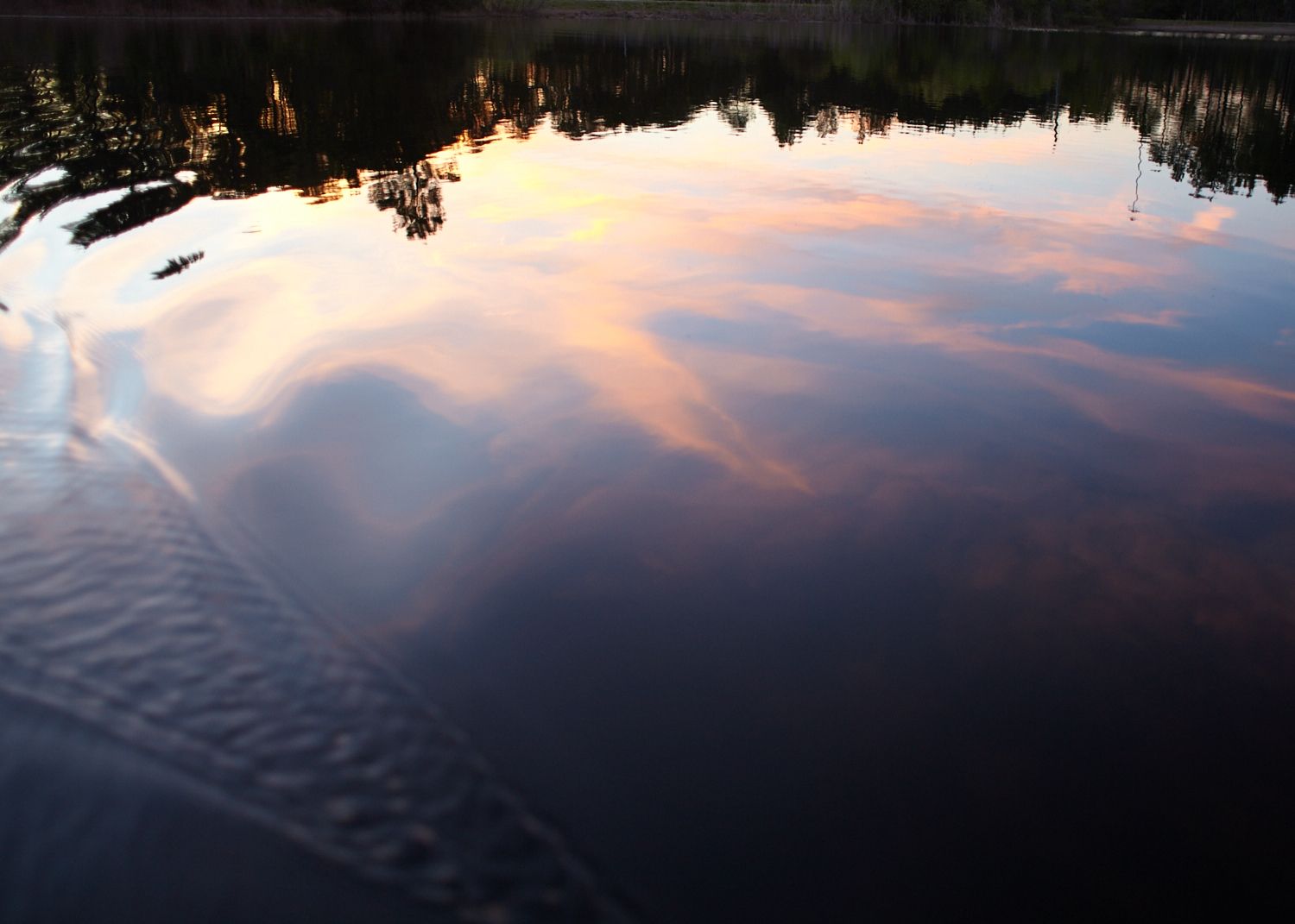 Fishing Pond, Jacksonville, Florida