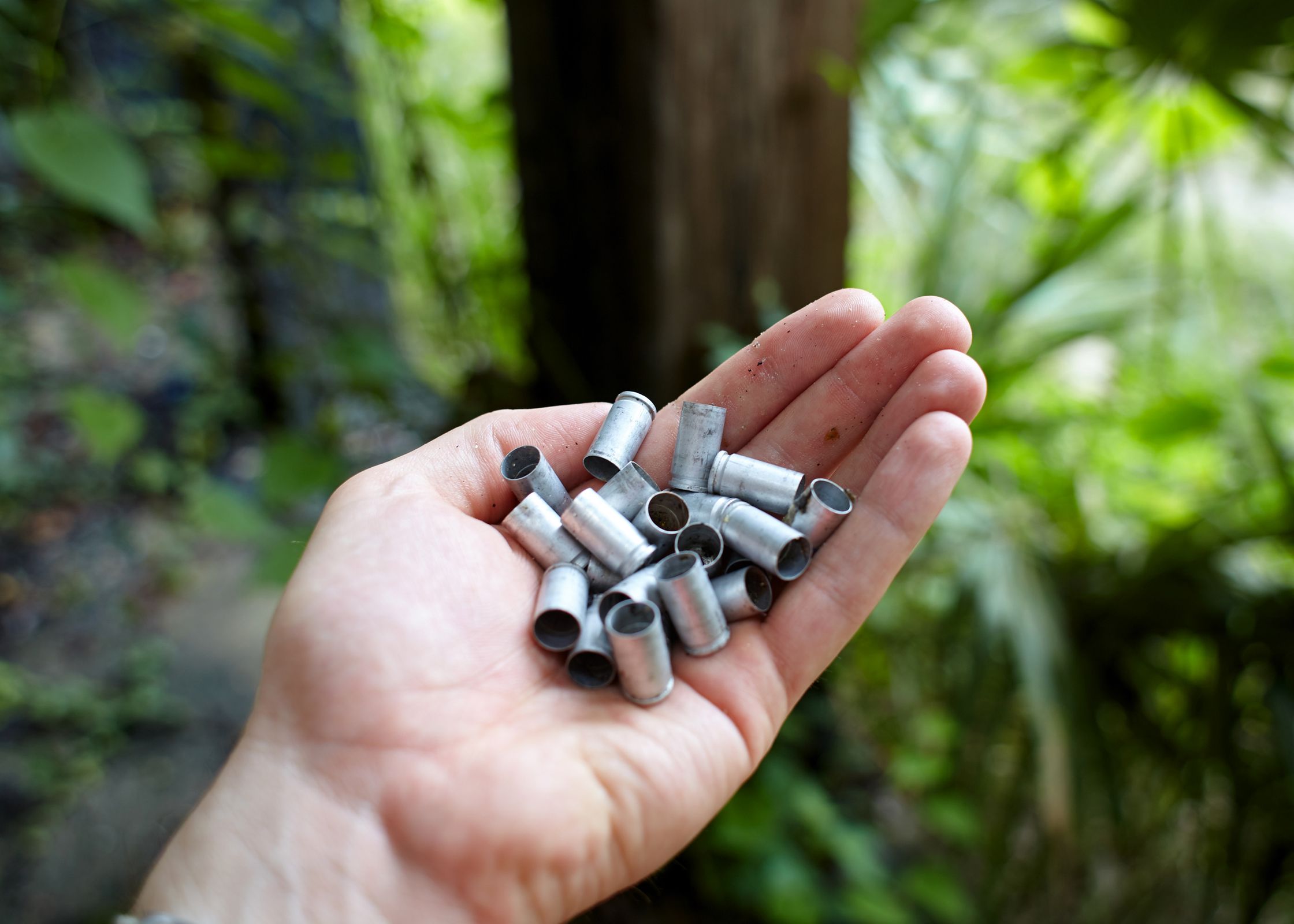 Litter Under the Bridge, Eureka Florida.