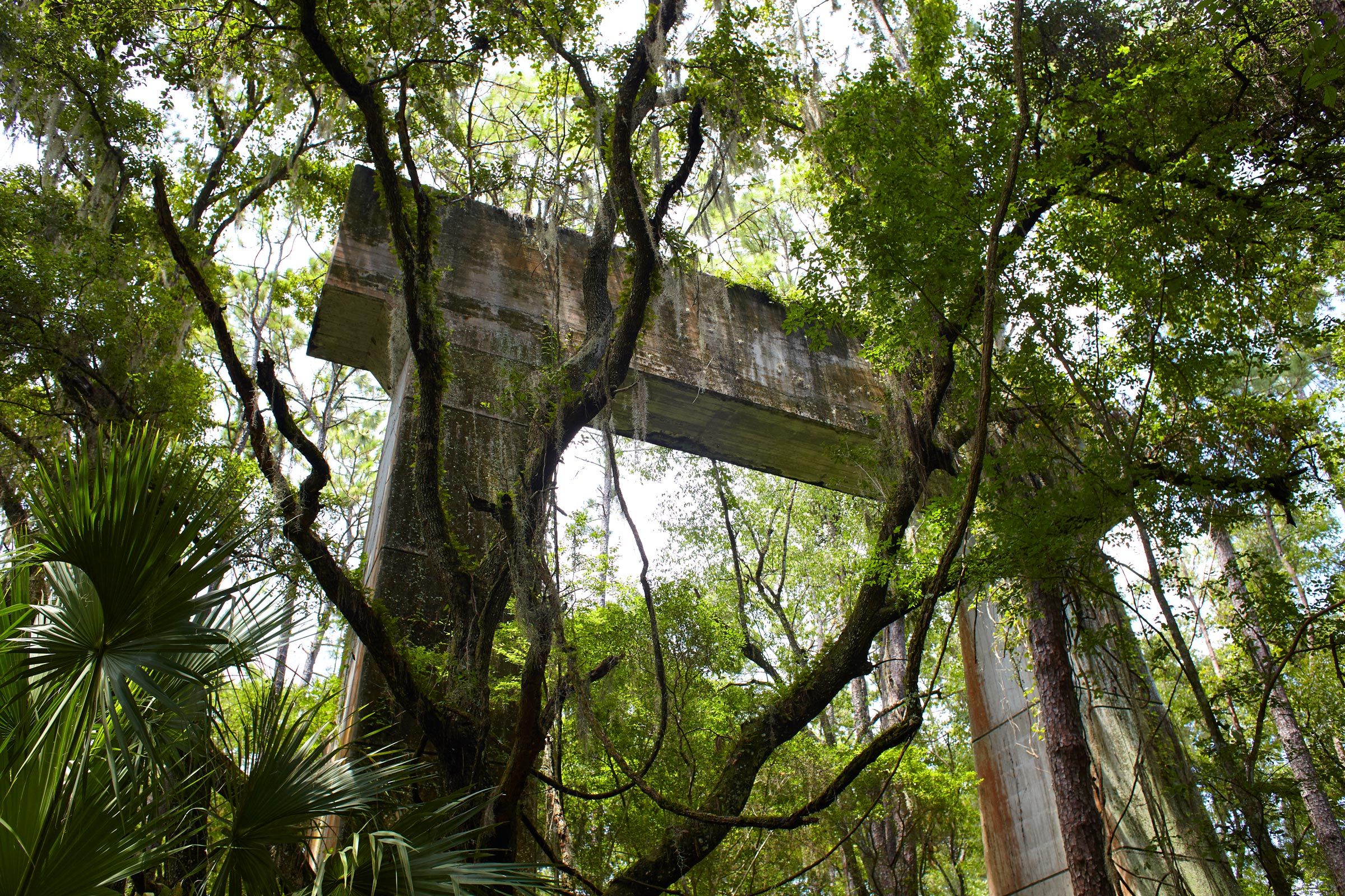 Bridge Support at Abandoned Canal Site. Santos, Florida.