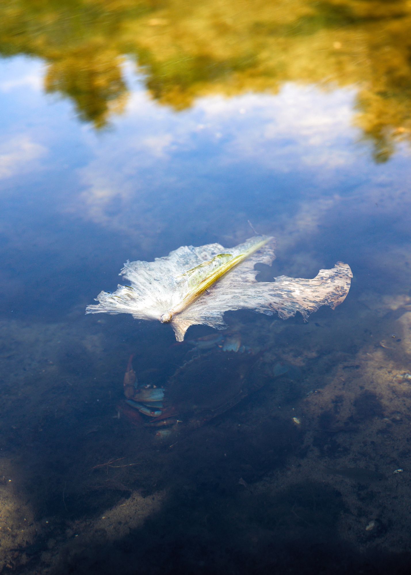Kirkpatrick Dam Boat Launch