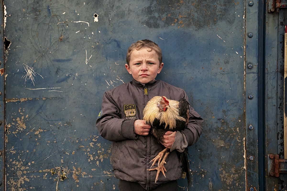 Pa And His Rooster - Irish Traveller