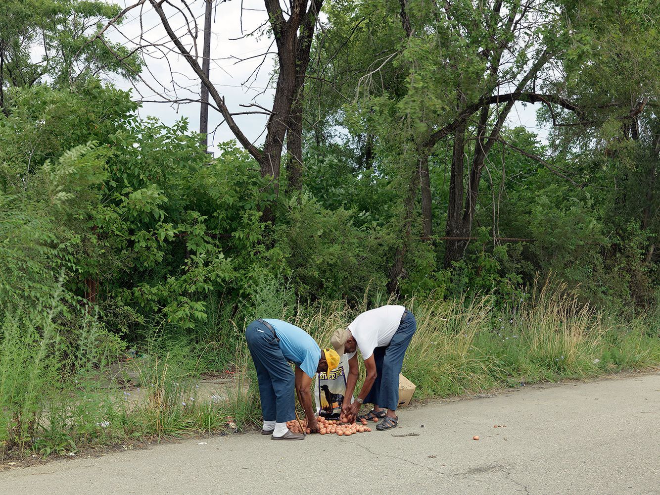 Two Men Picking Up a Pile of Discarded Potatos, Midtown, Detroit 2010