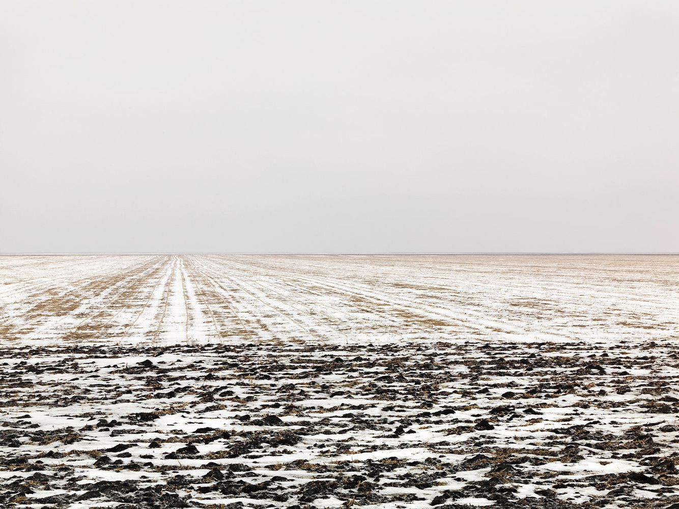 Terra-Caelum, #44, 2011