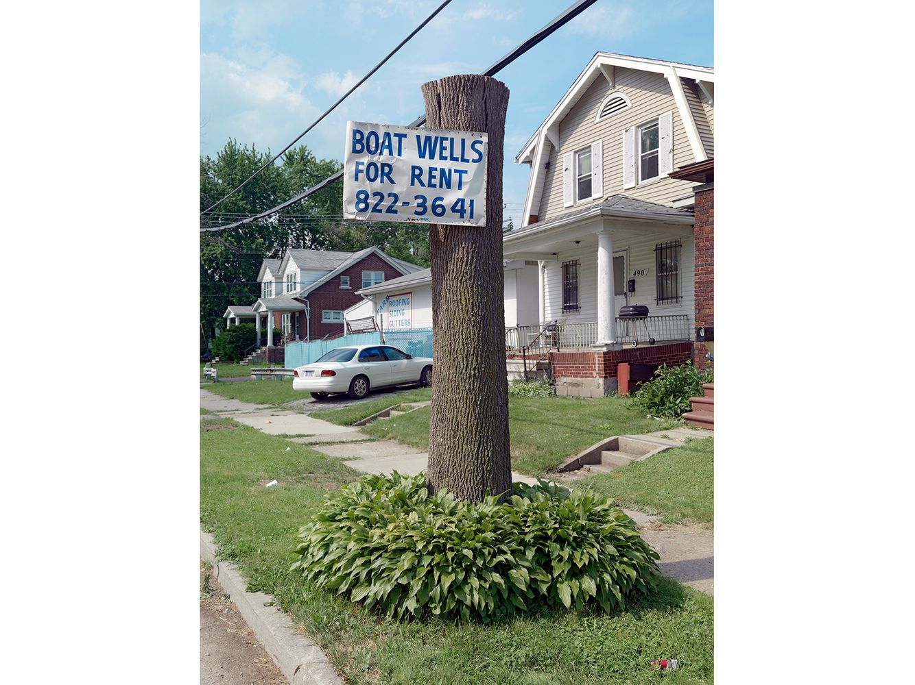 Tree Stump 16, Detroit 2011