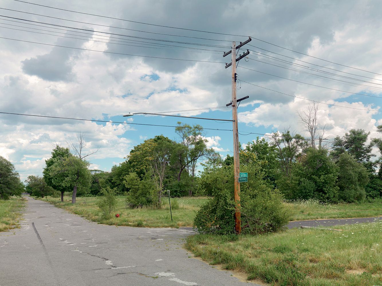 Corner of Gilbo and Kenney Street, Detroit 2015