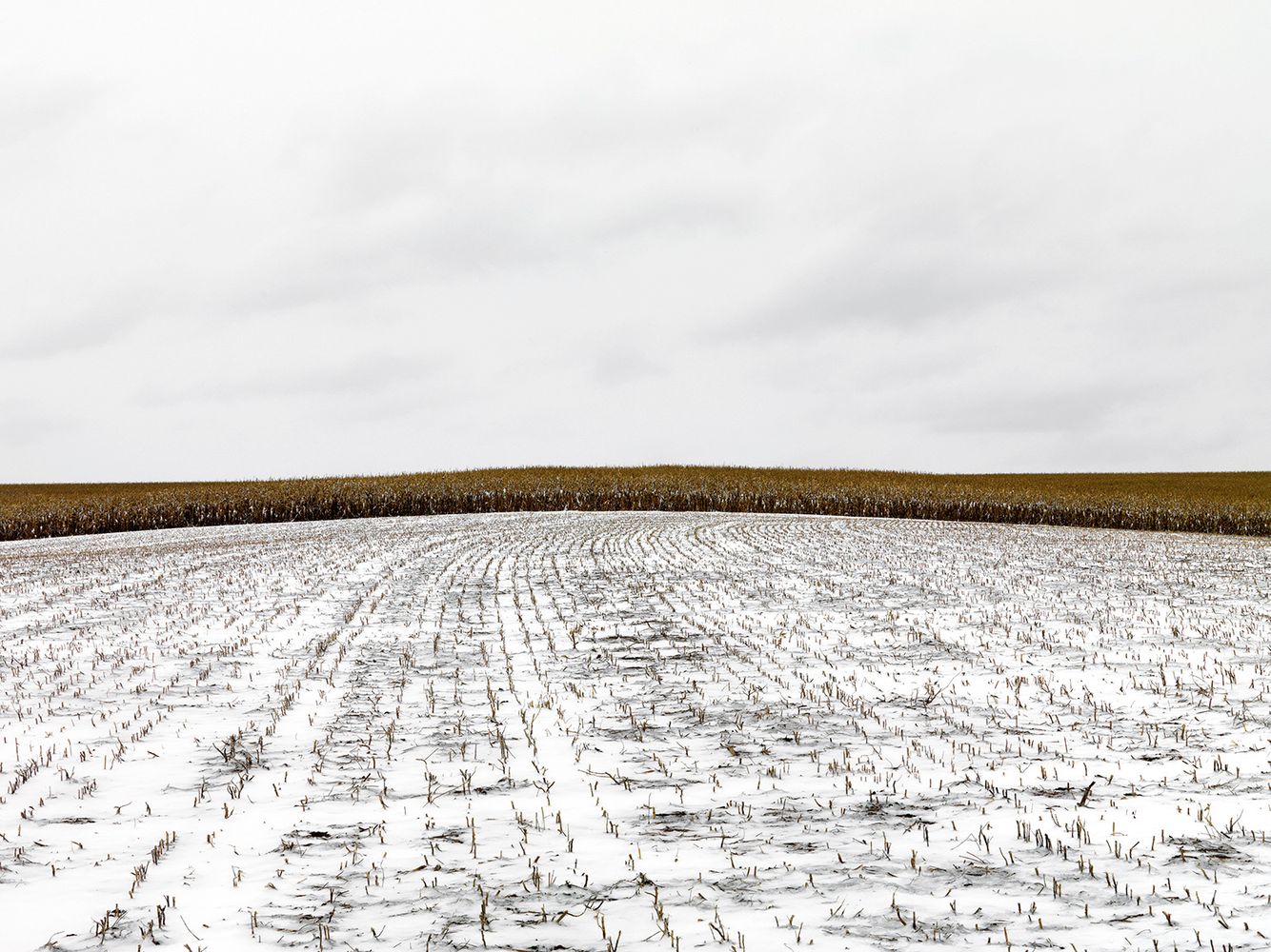 Terra-Caelum, #17, 2010