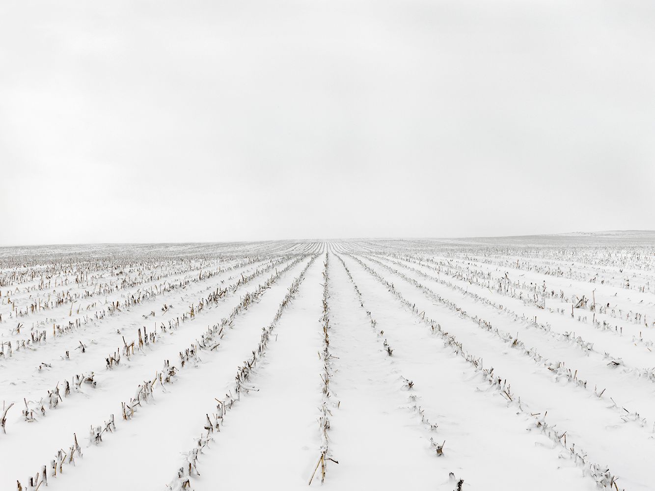 Terra-Caelum, #7, 2008