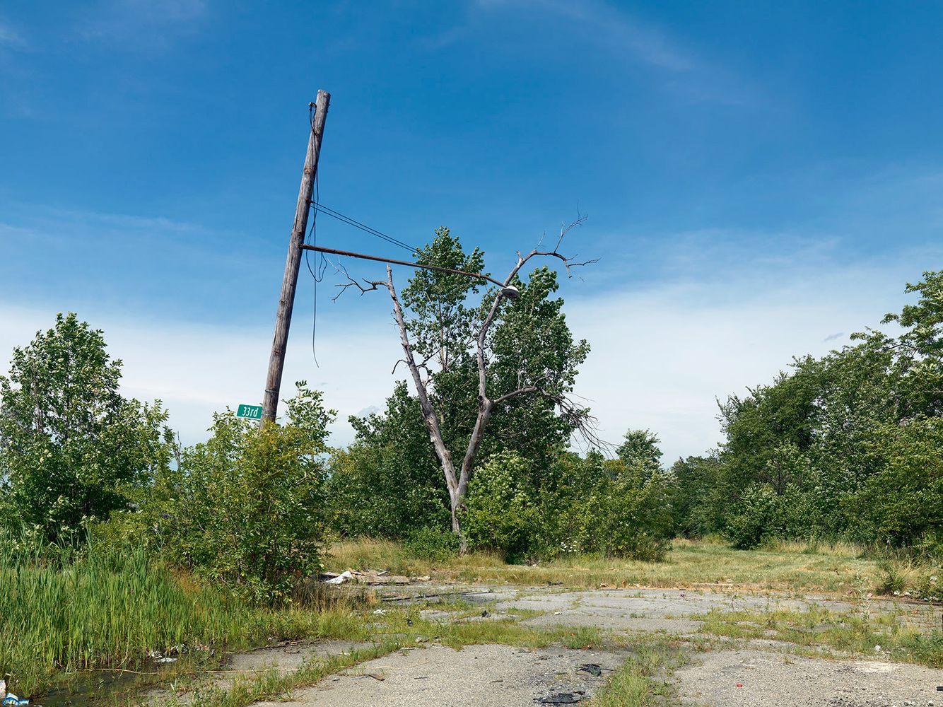 Corner of 33rd and Edsel Ford West, Detroit 2015