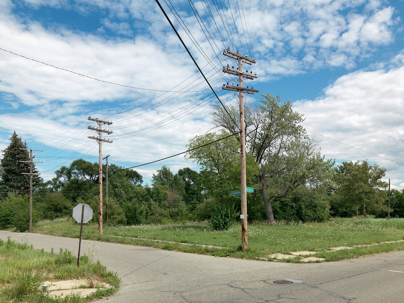 Corner of Sylvester and McClellan Street, Detroit 2015