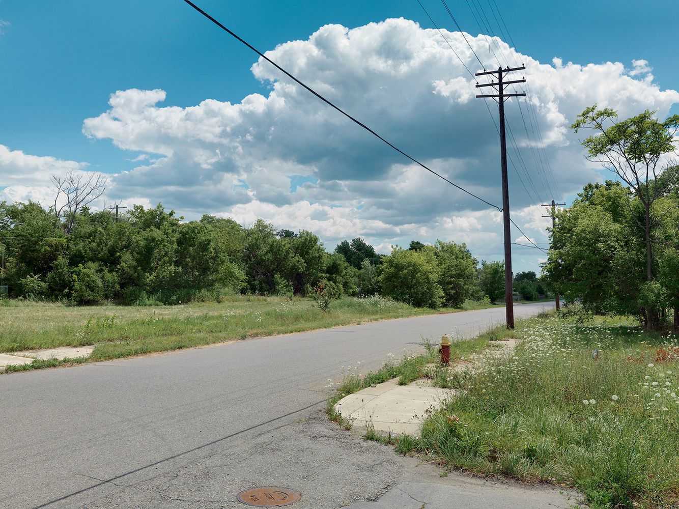 Corner of Moran and Kirby Street, Detroit 2015