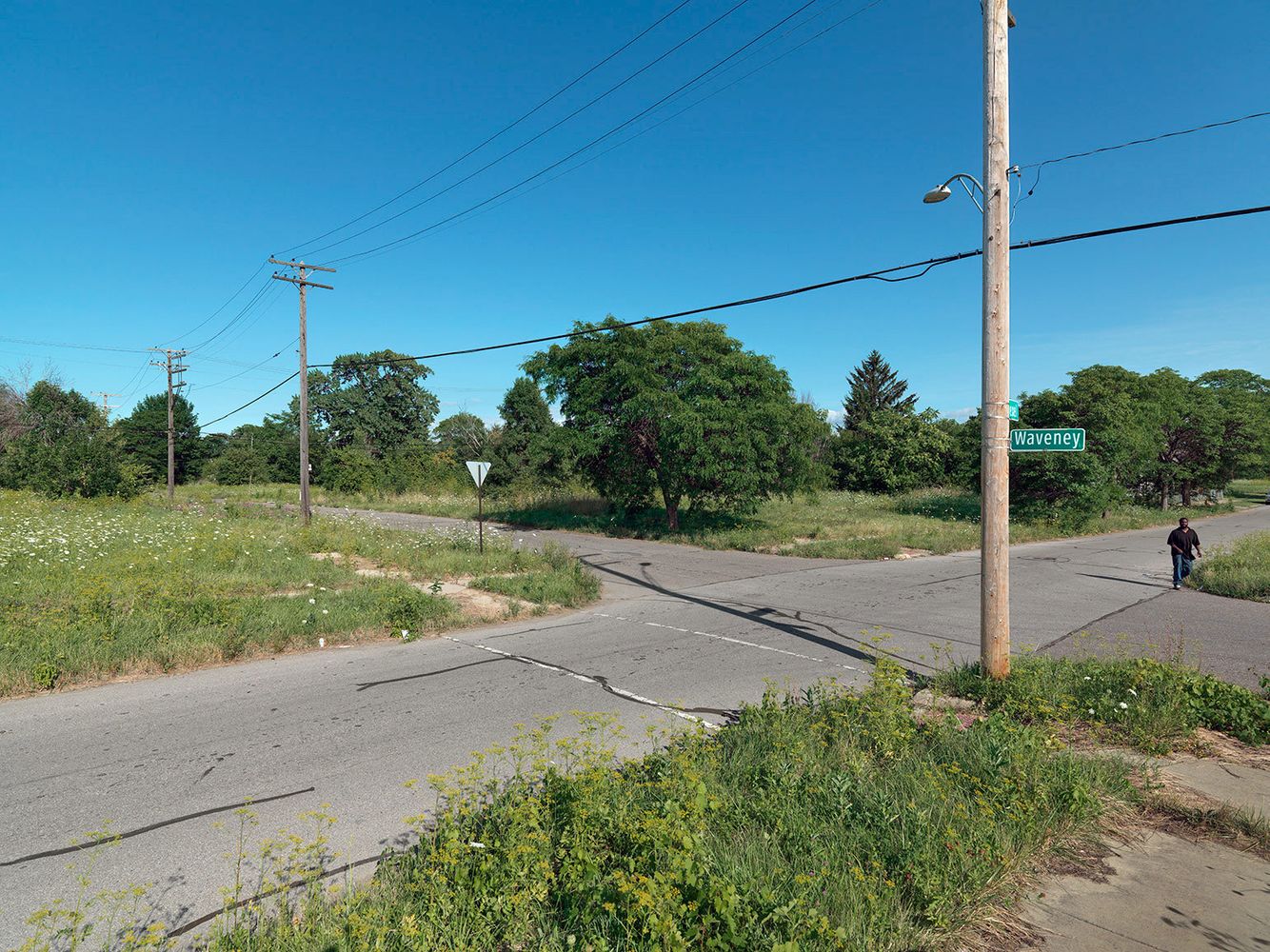 Corner of Waveney and Drexel Street, Detroit 2015