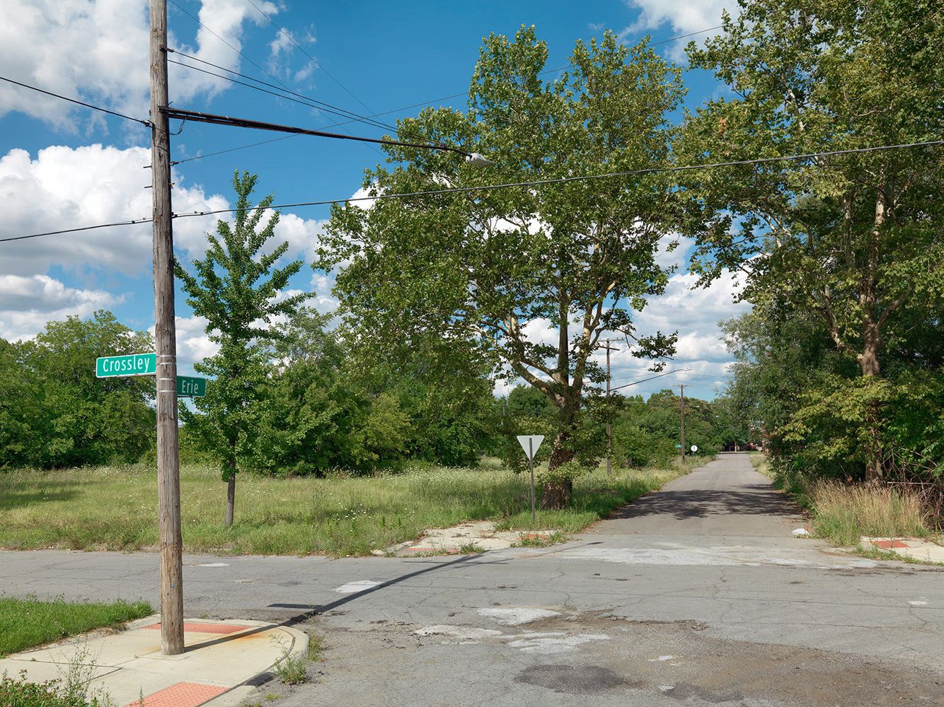 Corner of Crossley and Erie Street, Detroit 2015