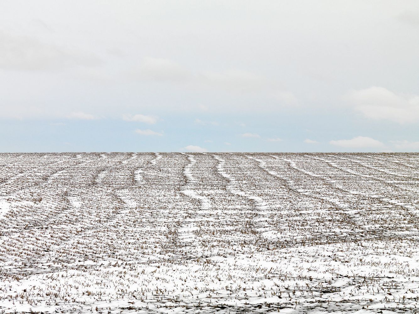 Terra-Caelum, #27, 2010