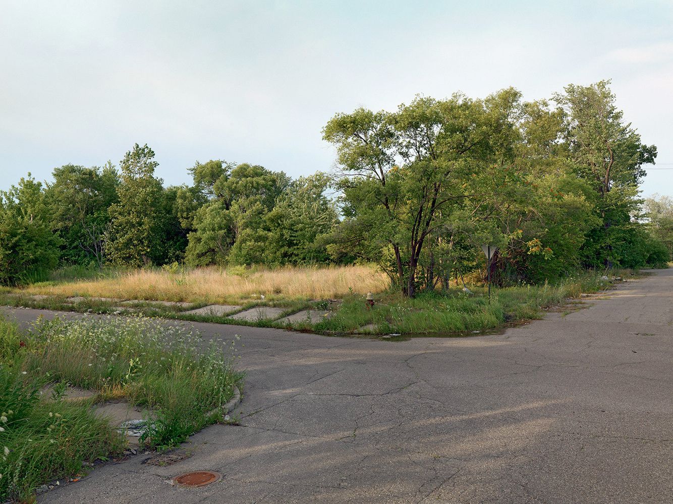 Corner of Concord and Frederick Street, Detroit 2015
