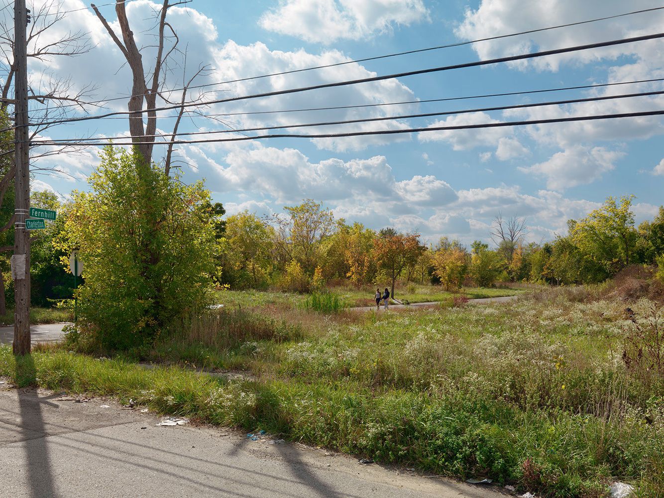 Corner of Charleston and Fernhill, Detroit 2015