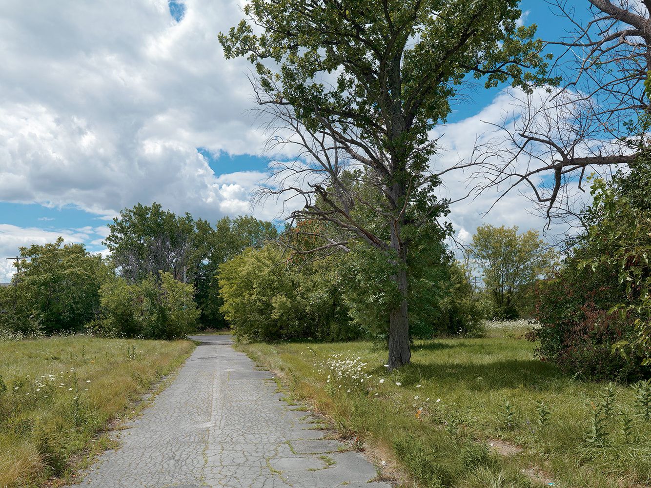 Weitzel Court, Poletown, Detroit 2015