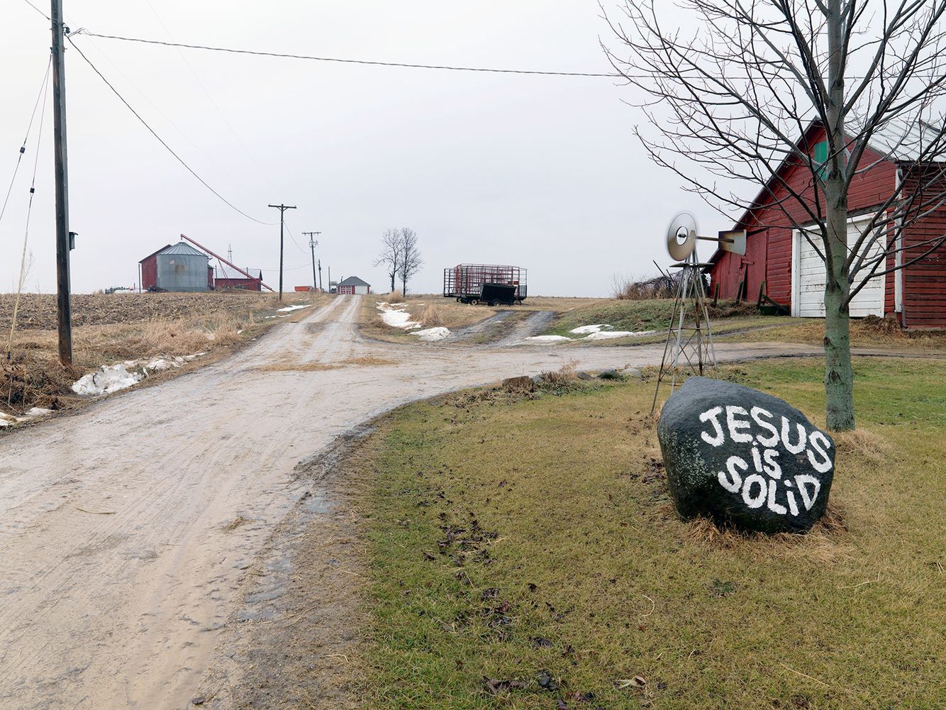 Front Yard, Northwest, IL 2009