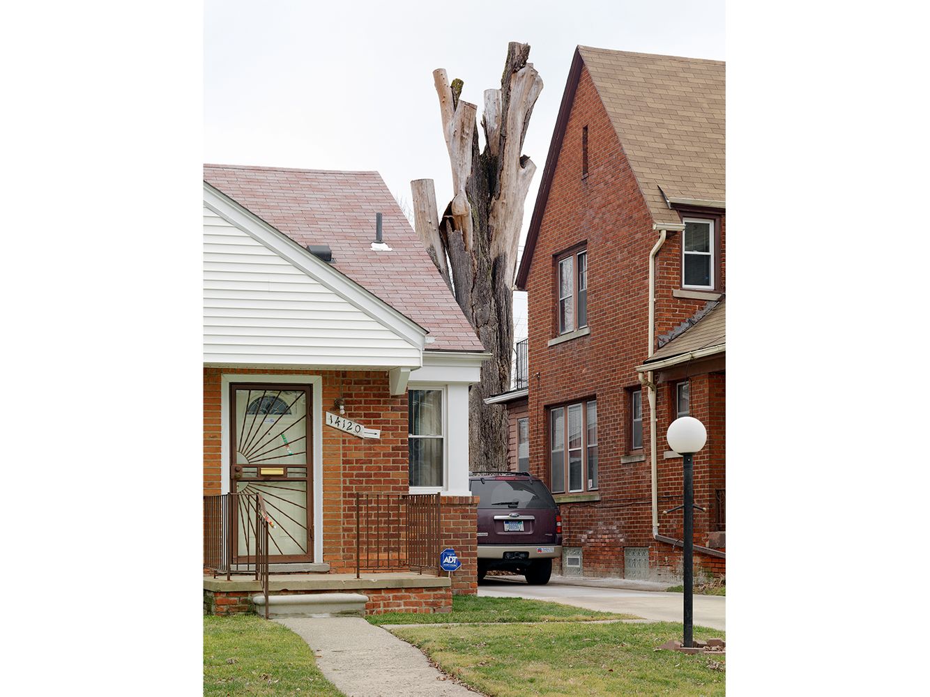 Tree Stump 25, Detroit 2012