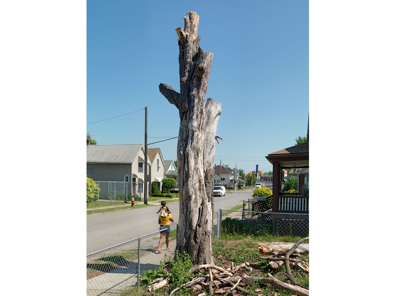 Tree Stump 33, Detroit 2012