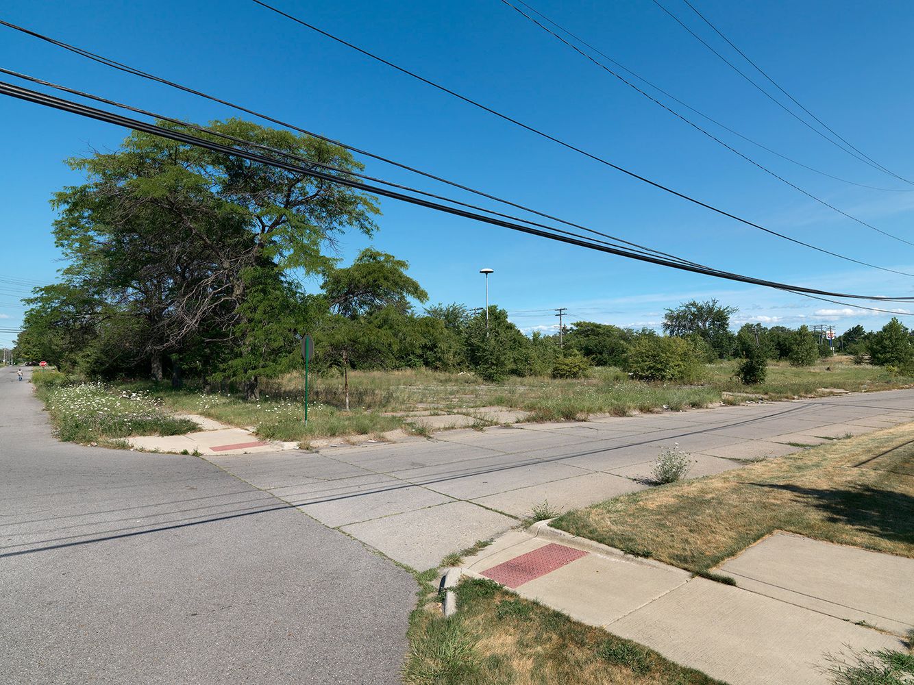 Corner of Anderson and Waveney, Detroit 2015