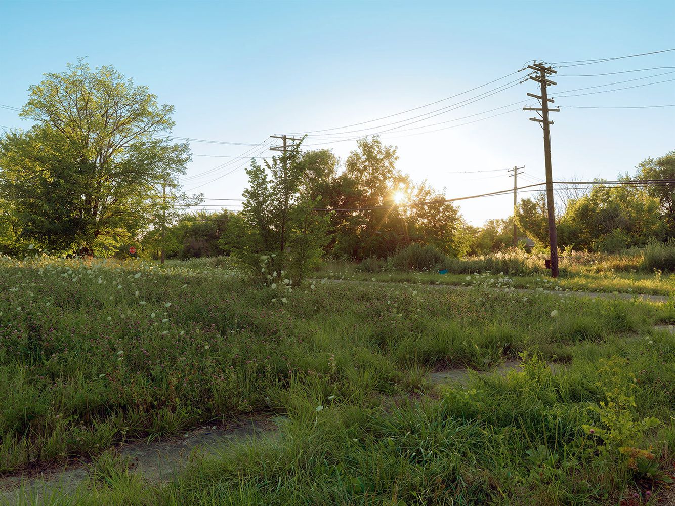 Corner of Marlborough and Waveney Street 2, Detroit 2015