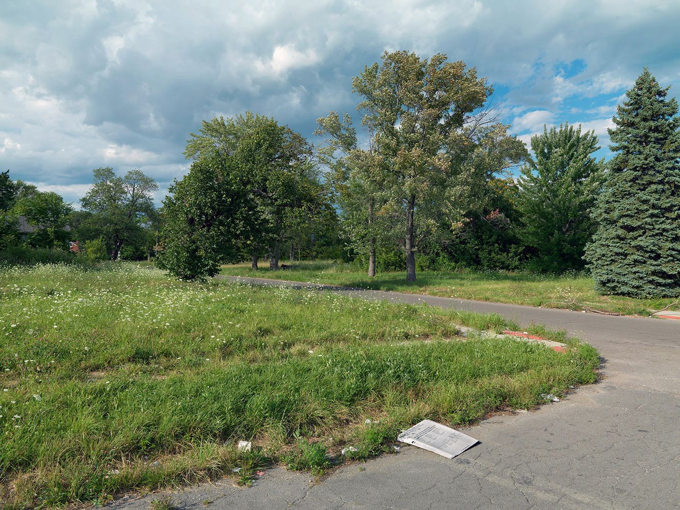 Corner of Wade and Nottingham Street, Detroit 2015