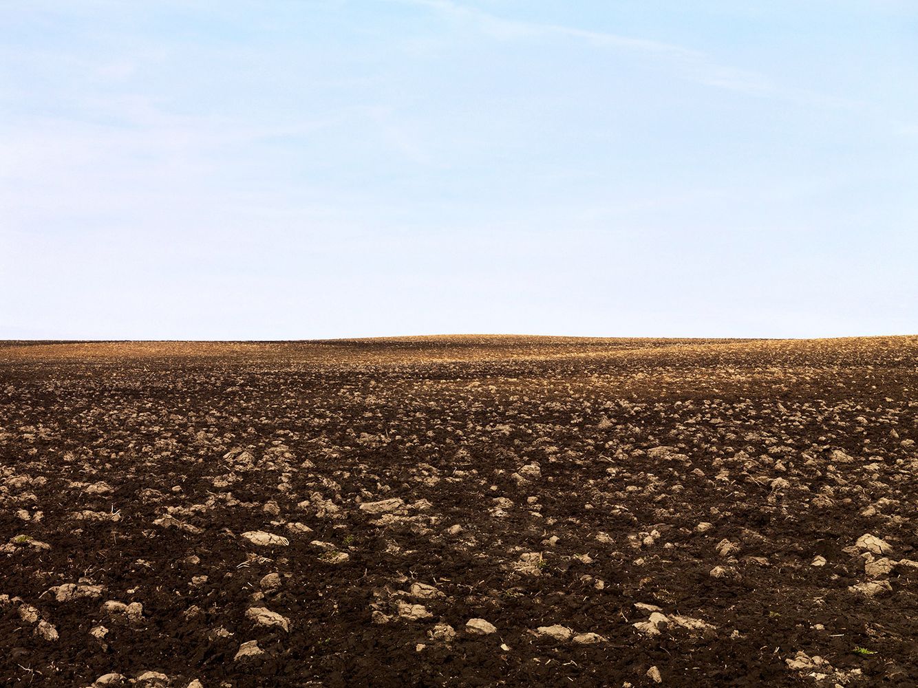 Terra-Caelum, #36, 2010