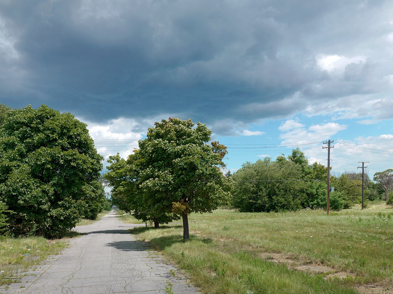 Corner of Gilbo and Elgin Street, Detroit 2015