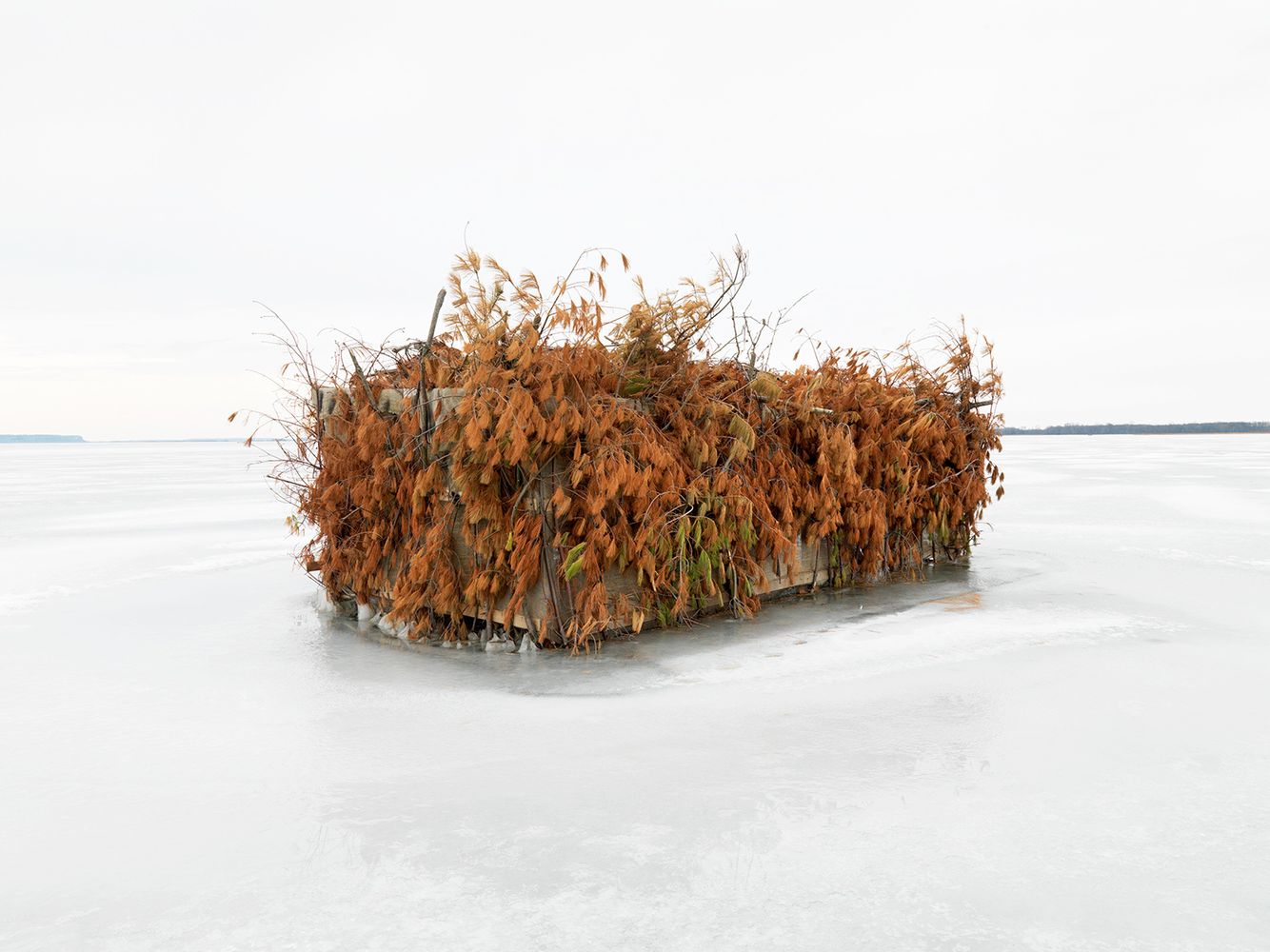 Duck Blind #39, Mississippi River, Northwest Illinois 2008