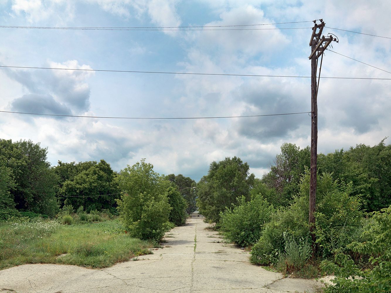 Majorie Street Looking East, Detroit 2015