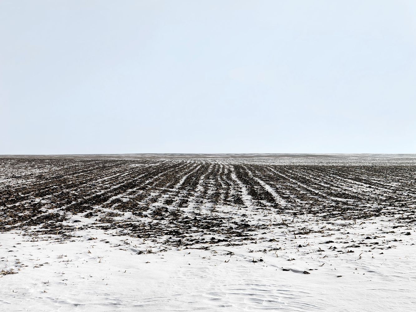 Terra-Caelum, #8, 2009