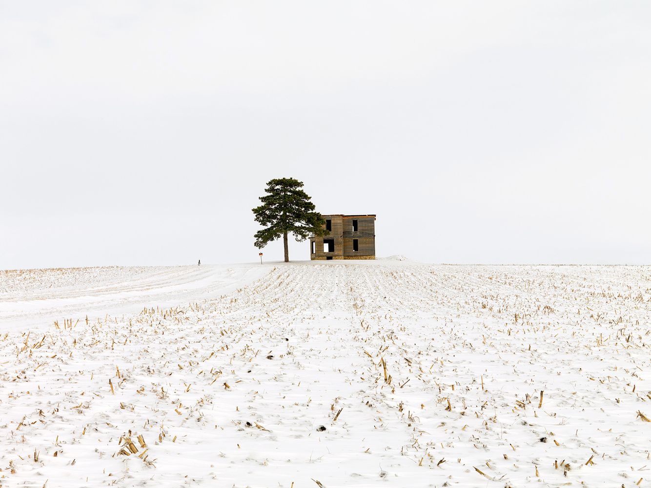 Topless House & Tree, near Cropsey, IL 2008