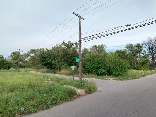 Corner of Lambert and Canton Street, Detroit 2015