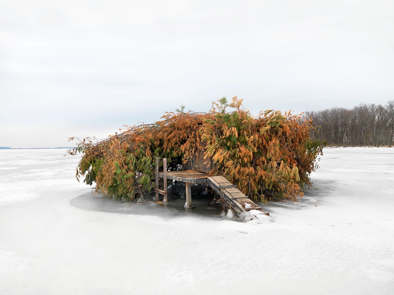Duck Blinds, Mississippi River, NW Illinois 2008 Dave Jordano Photography