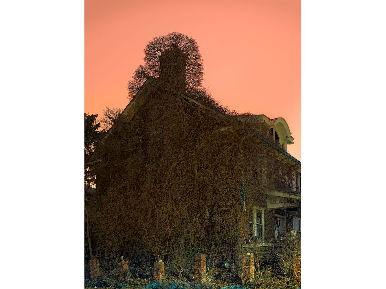 Vine covered House, Eastside, Detroit 2016