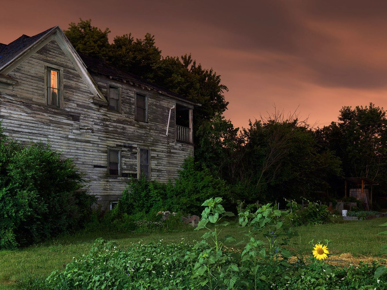 House with a Garden, Mexicantown, Detroit 2016