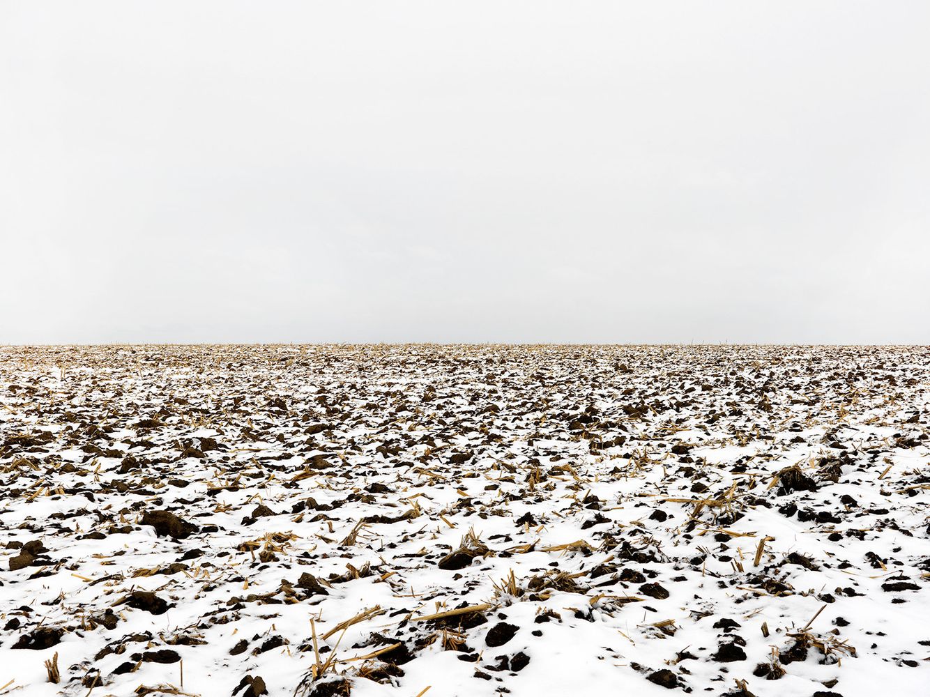 Terra-Caelum, #34, 2010